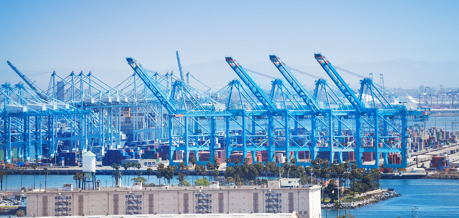 Busy port with multiple cranes handling Transpacific Container Traffic.