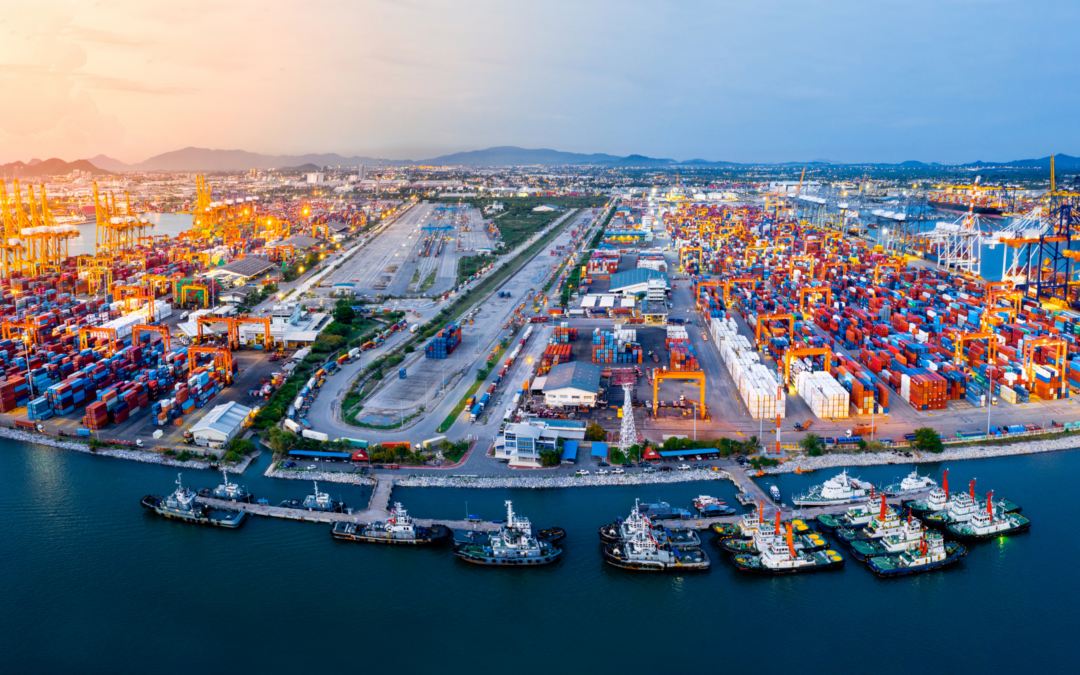 Navigating the Shipping Maze: NVOCC vs. a Freight Forwarder