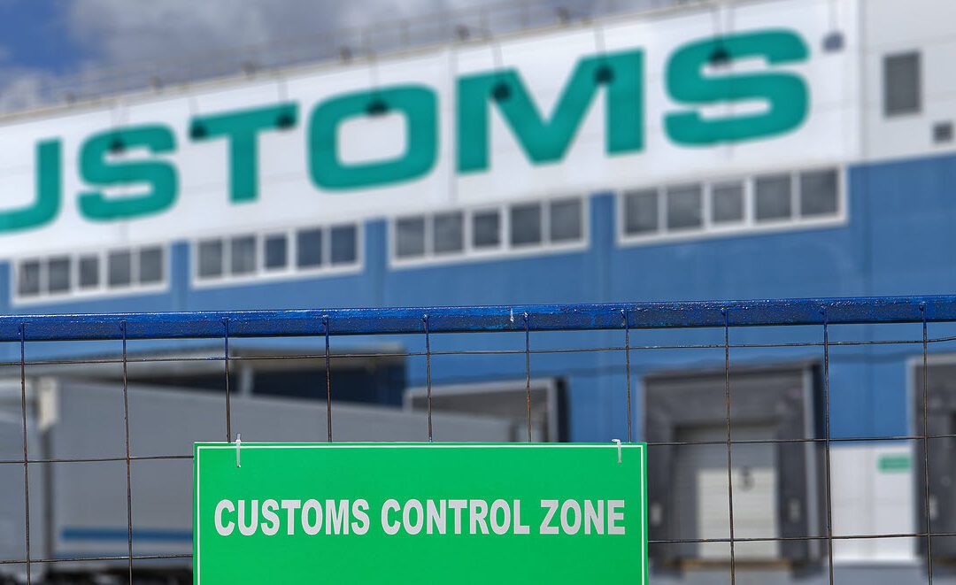 Do you Need a Customs Consultant?